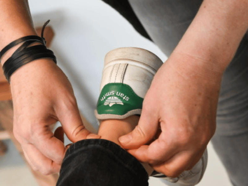 SunBird Poultry Lighting Systems SunBird Poultry Lighting Systems